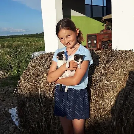 Farm stay Eko Zagroda Bocianie Gniazdo Mikolajki (Mragowo)